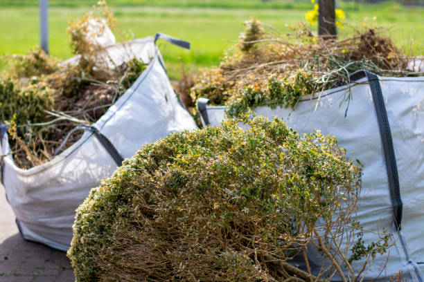 Professional Junk Removal in Markham, IL